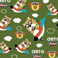 Bear Plane