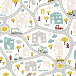 Road Map And Car