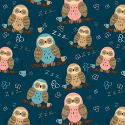 Sleeping Owl