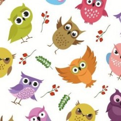 Changeable Owl