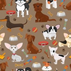 A Home For Dogs Of All Types