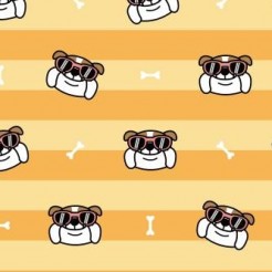 Handsome Spectacled Bulldog