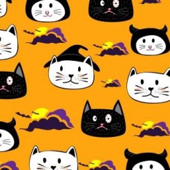 Halloween Costumed Cat