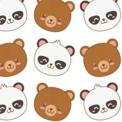 Cat Bear Brown Bear Good Frien