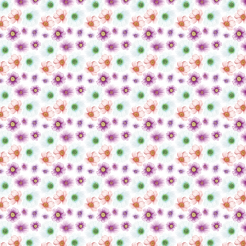 Beautiful Dazzling Flowers