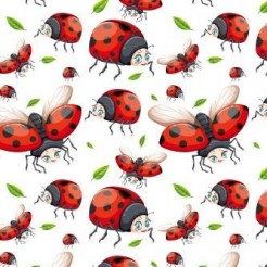 Lively Big-eyed Ladybug