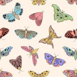 Rare Pattern Butterfly