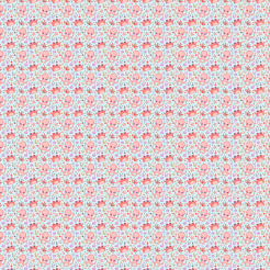 Big Eyed Crab Octopus