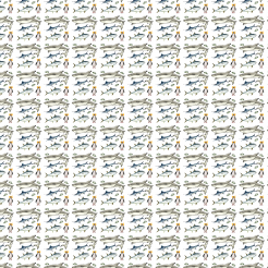 Sailfish Shark Penguin