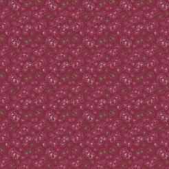 Empty Elegant Cherry Blossoms
