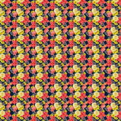 Passionate Bright Flowers