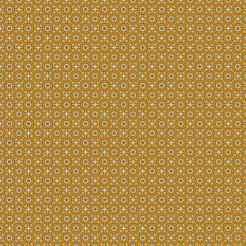 Mysterious Geometric Pattern