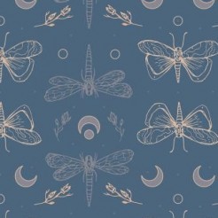 Moths And Dragonflies