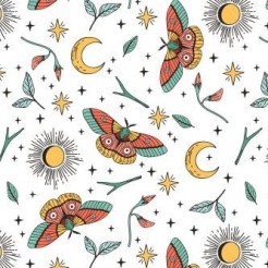 Mysterious Pattern Moth