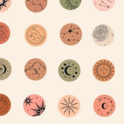 Everything Needs The Sun And T