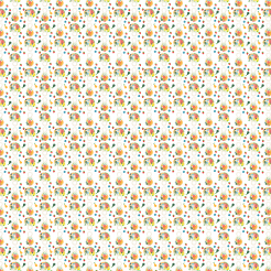 Eco-friendly Fruit Shopping Ba