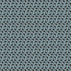 Killer Whales And Corals