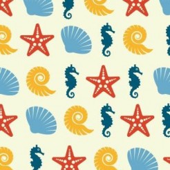 Beautiful Starfish Shell