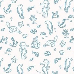 Marine Life And Seaweed