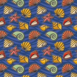 Various Shells