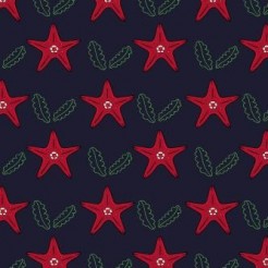 Red Starfish