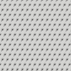 Hand Drawn Bird Skulls