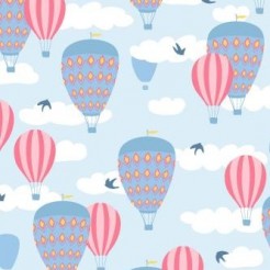 Leisurely Hot Air Balloon Tour