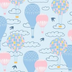 Hot Air Balloon Ride