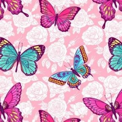 Gorgeous Butterfly