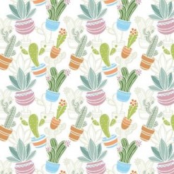 Various Cactus Potted Plants