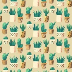 Cactus And Succulent Potted Pl