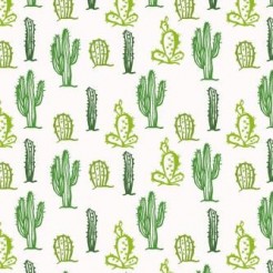 Desert Cactus