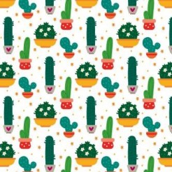 Beautiful Potted Cactus