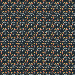 Space Cats In The Universe