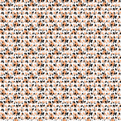 Black And Orange Country Cat