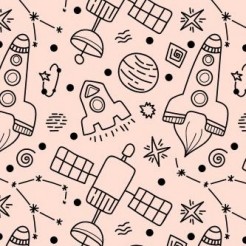 Satellite Space Shuttle