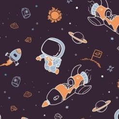 Astronauts And Space Shuttles