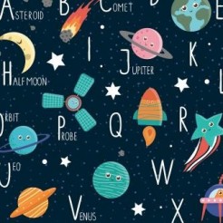 Satellite Space Meow