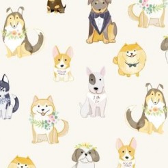 Wedding Gentleman Dog