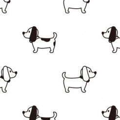 Playful Short Tail Dog