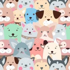 Innocent Expression Dog