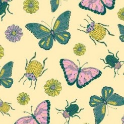 Butterfly Flower Beetle