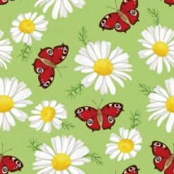 Bright Beautiful Butterfly