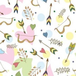 Indian Bow And Arrow