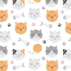 Cute Little Kitten With Eyes C