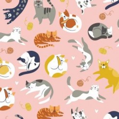 Kitten Chasing Yarn And Playin