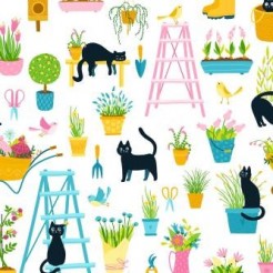 Black Cat Hanging Out In The G