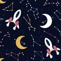 Space Shuttle Cosmic Adventure