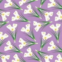 Elegant White Crocus