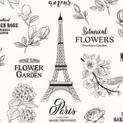 Romantic Paris